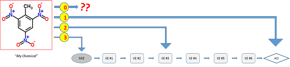 Level Overview